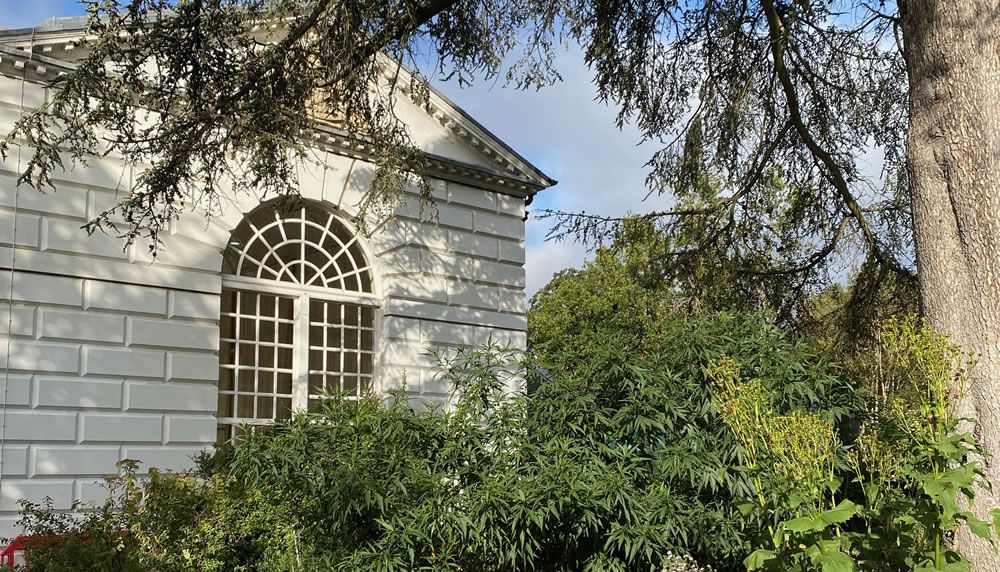 Kew orangery building